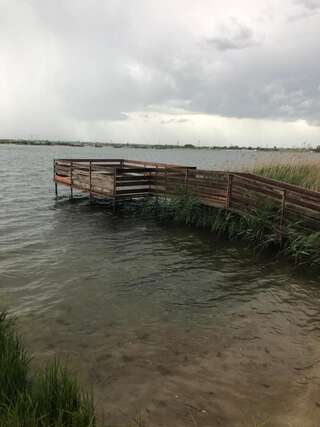 Фото Кемпинги Forest lakes г. Dymovka